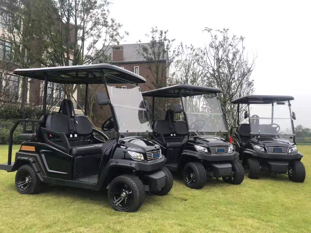 電動高爾夫球車 電動高爾夫球車