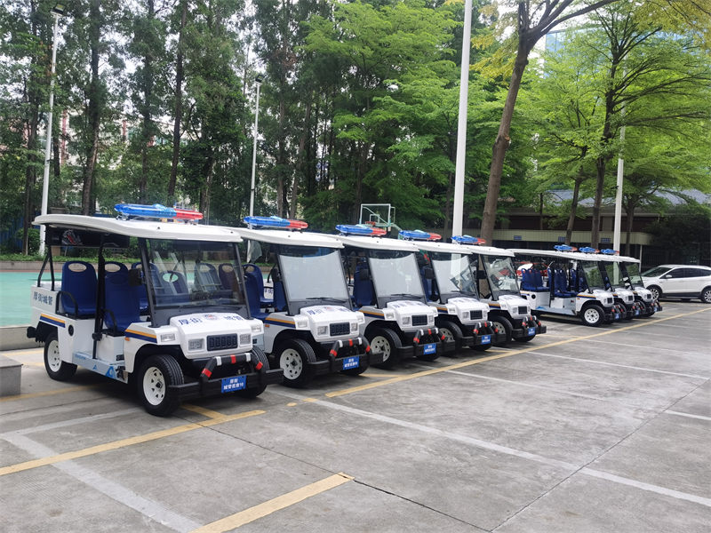 電瓶巡邏車 電瓶巡邏車
