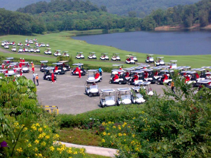 電動高爾夫球車 電動高爾夫球車