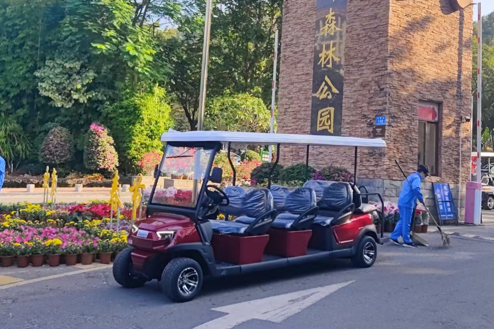 高爾夫觀光車 高爾夫觀光車